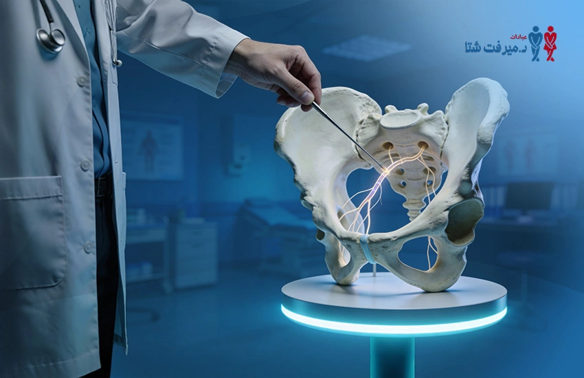 العصب الفرجي